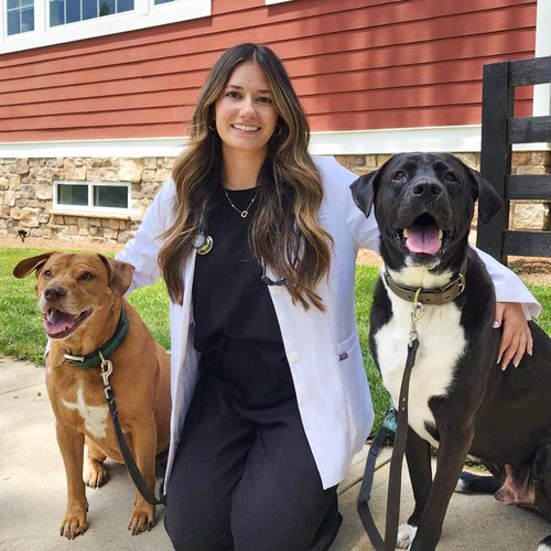 Dr. Alex Rivera, DVM