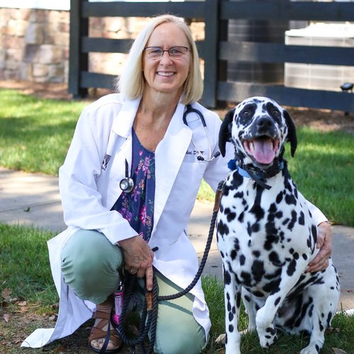 Dr. Janet Seibert, DVM