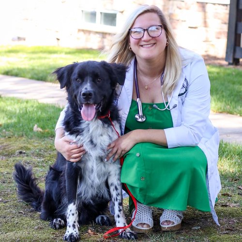 Dr. Rachel Konovalova, DVM