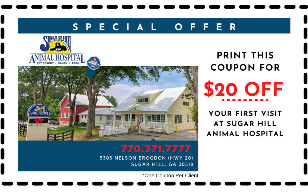 Special Offer | Sugar Hill Animal Hospital in Sugar Hill, GA