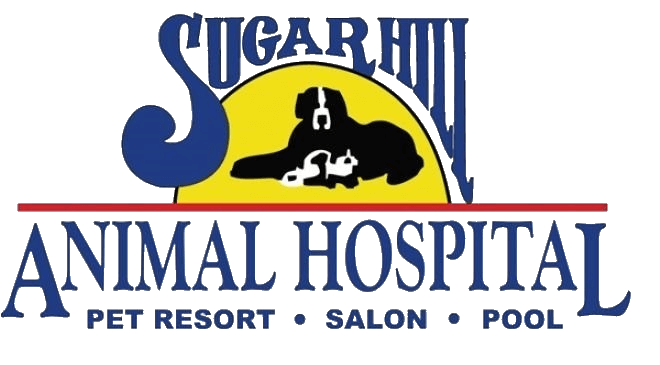 Dr. West Hamryka | Sugar Hill Animal Hospital in Sugar Hill, GA