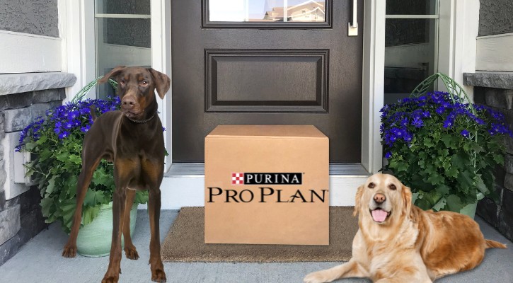 Purina pro plan sales prescription